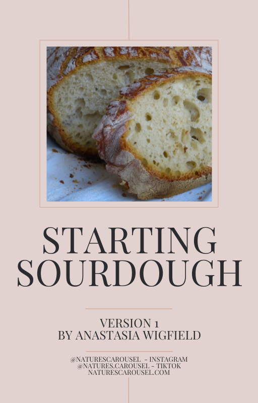 Beginners Guide to Starting Sourdough